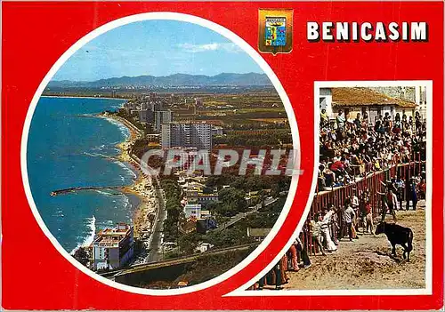 Cartes postales moderne Benicasim (Castellon) Divers Aspects Taureau Corrida