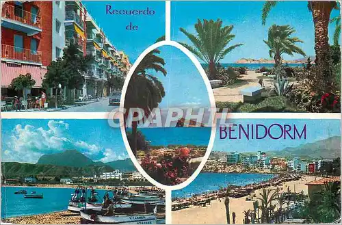 Cartes postales moderne Recuerdo de Benidorm (Alicante)