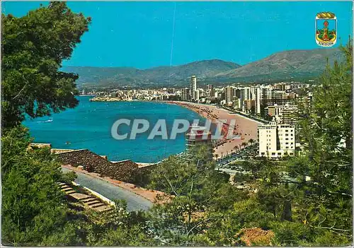 Cartes postales moderne Benidorm (Espana) Vue Panoramique