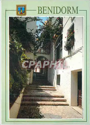 Cartes postales moderne Benidorm (Alicante)