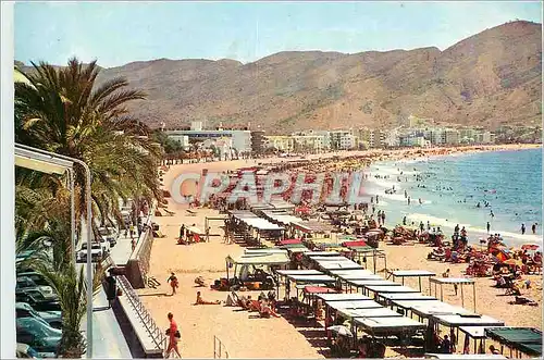 Cartes postales moderne Benidorm (Alicante) Espana