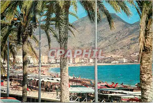 Cartes postales moderne Benidorm (Alicante) Espana