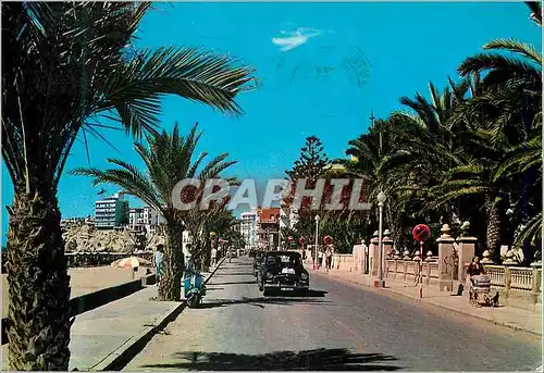 Cartes postales moderne Benidorm Playa de Levante