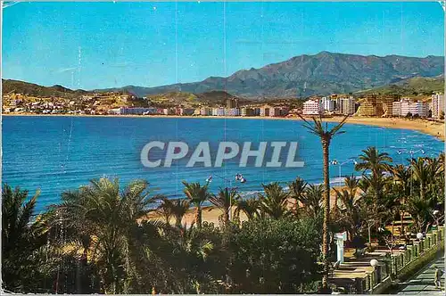 Cartes postales moderne Benidorm Alicante