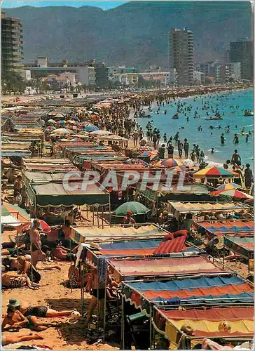 Cartes postales moderne Benidorm Plage