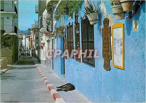 Cartes postales moderne Benidorm Rue Tipique