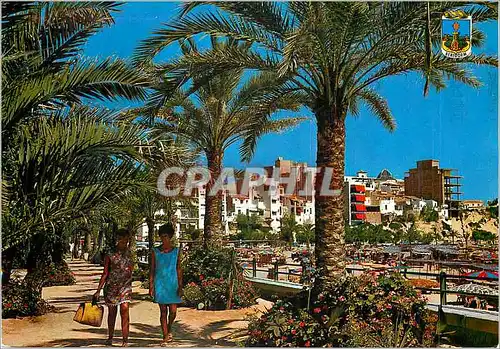 Cartes postales moderne Benidorm (Espana) Parc du Colon