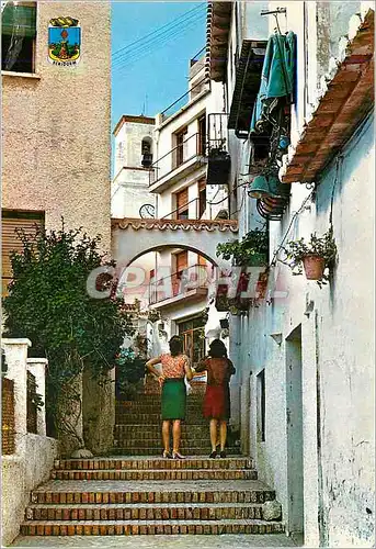 Cartes postales moderne Benidorm (Alicante) Rue Los Gatos (Rue des Chats)