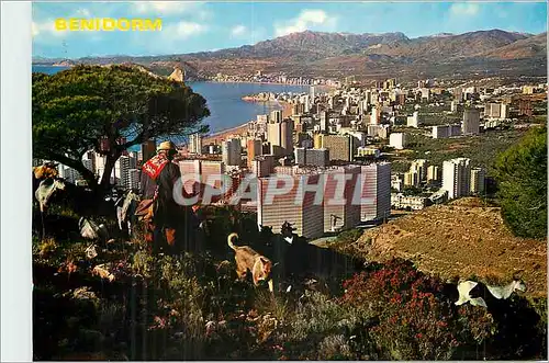 Cartes postales moderne Benidorm (Espana)