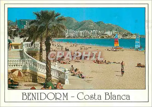 Cartes postales moderne Benidorm Costa Blanca Playa de Poniente Benidorm (Espana)