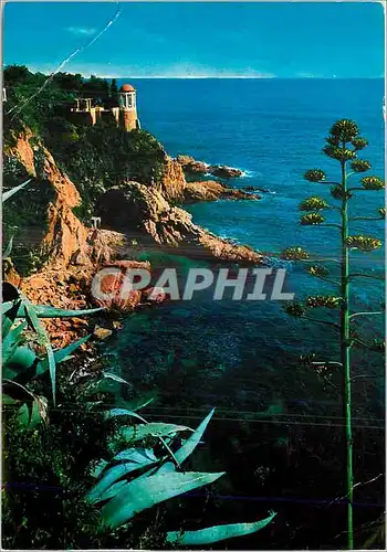 Cartes postales moderne Blanes Costa Brava Jardin Botanique Detail