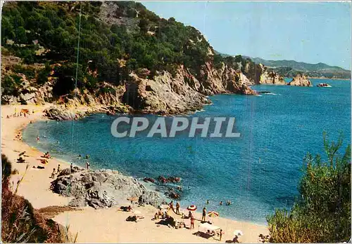 Cartes postales moderne Costa Brava Blanes Playa de San Francisco