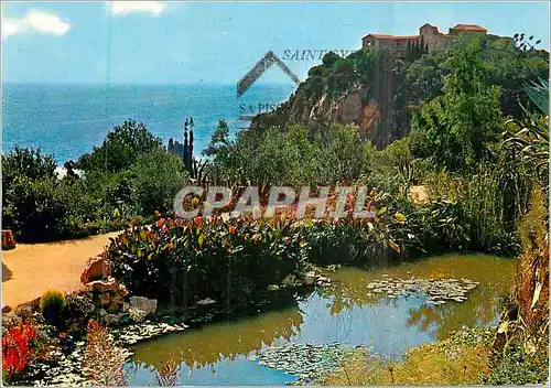 Cartes postales moderne Costa Brava Blanes Vue Partielle