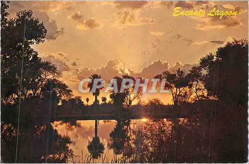 Cartes postales moderne Sunset at Encanto Park Phoenix Arizona