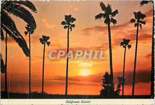 Cartes postales moderne California Sunset
