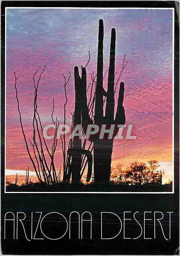Moderne Karte Arizona Sunset on the Desert