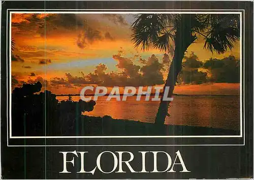 Moderne Karte Florida Sunset