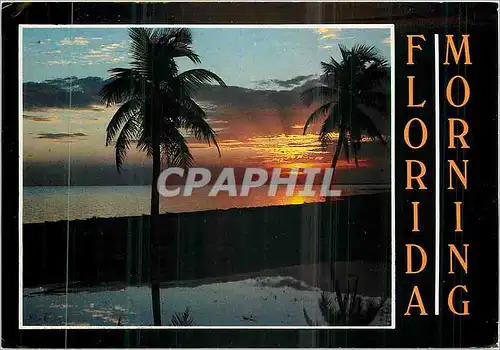 Cartes postales moderne Florida Morning Reflections of an Early Morning in Florida