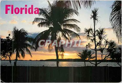 Moderne Karte Florida Sunsets Paint a beautiful Pucture in Florida