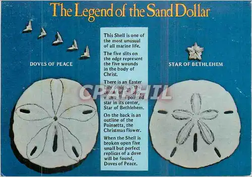 Cartes postales moderne The Legent of the Sand Dollar
