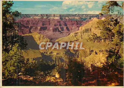 Cartes postales moderne Grand Canyon National Park Arizona Between Hopi and Mohave Point