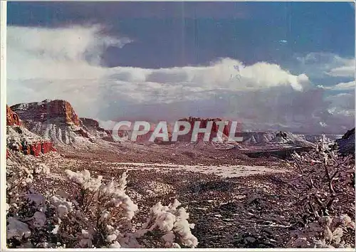 Cartes postales moderne Snow blankets Oak Creek Canyon Arizona