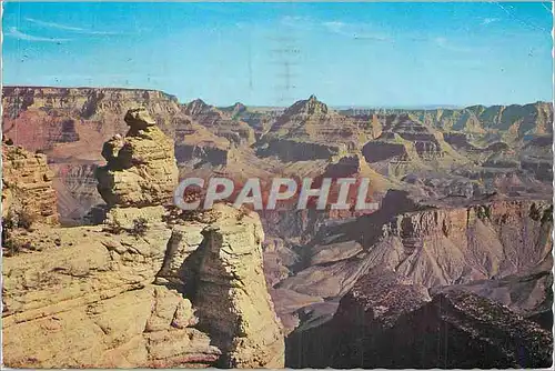 Cartes postales moderne Duck on the Rock Grand Canyon National Park Arizona