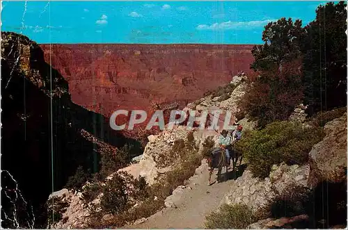 Moderne Karte Grand Canyon National Park Arizona