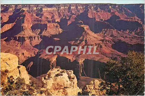 Cartes postales moderne Grand Canyon National Park Arizona