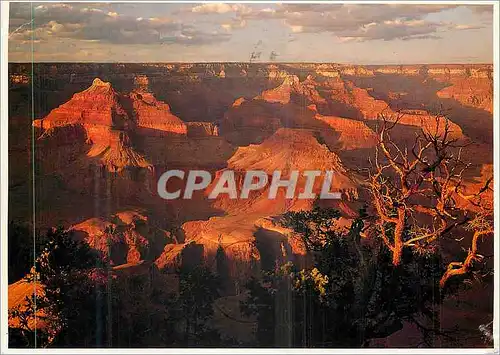 Cartes postales moderne Grand Canyon National Park Arizona the Grand Canyons Broad Expance Viewed in Evening Light