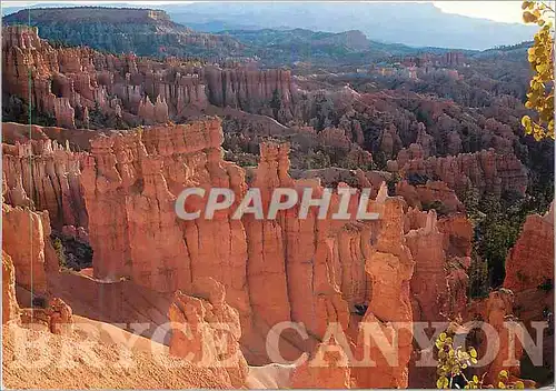 Cartes postales moderne Queen's Garden Bryce  Canyon National Park Utah