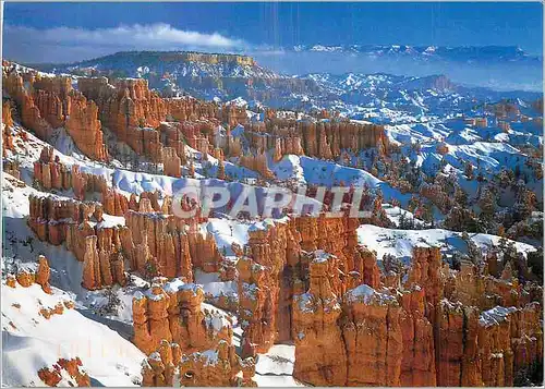 Cartes postales moderne Winter Days at Bryce Canyon