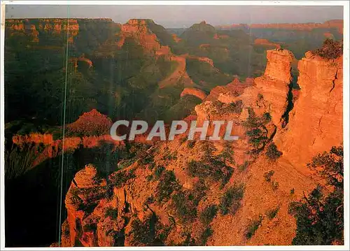 Cartes postales moderne Grand Canyon National Park Arizona the Sunset Casts Its Evening Glow on the Canyon Walls