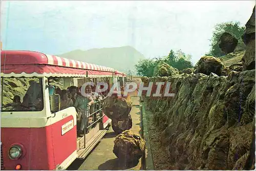 Cartes postales moderne Visitors Experience Avalanche a la Hollywood Train