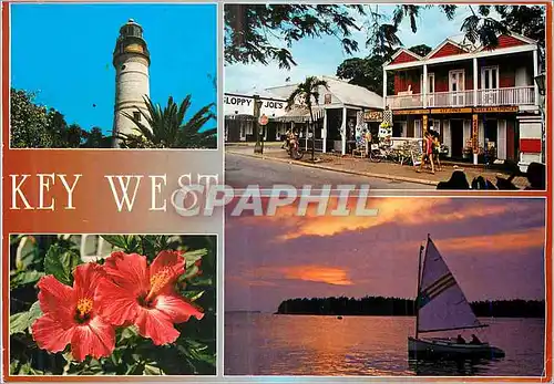 Cartes postales moderne Key West Florida The tropical Island