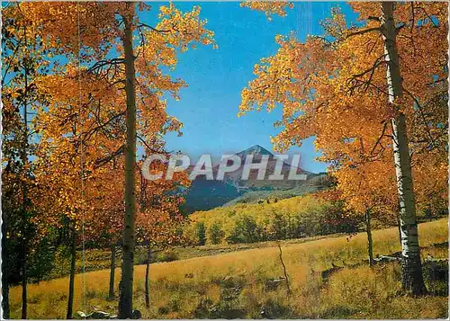 Cartes postales moderne Lone Cove Near Norwood Colorado