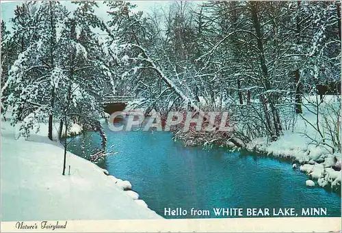 Cartes postales moderne Hello from White bear Lake Minn Nature's Fairyland