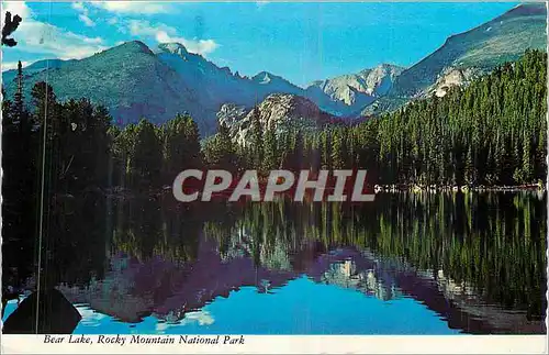 Cartes postales moderne Bear Lake Rocky Mountain National ParK