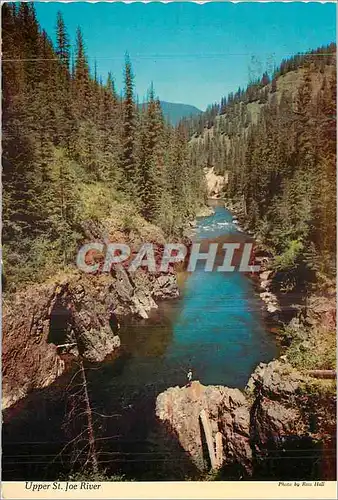 Cartes postales moderne Spper St Joe River Near Avert