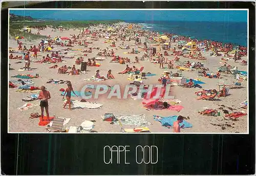 Cartes postales moderne Sunset Beach Orleans Cape Cod National Seashore Massachusetts