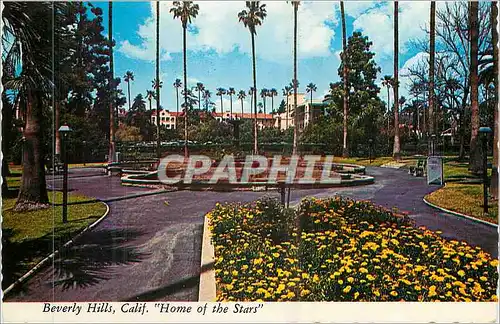 Cartes postales moderne Beverley Hills Calif Home of the Star California