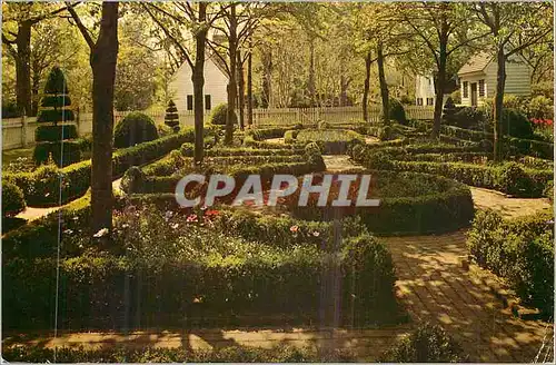 Cartes postales moderne A Formal Garden Williamsburg Virginia