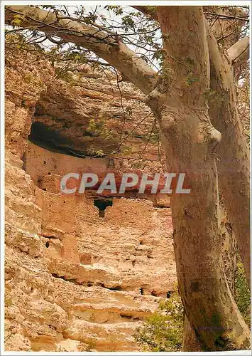 Cartes postales moderne Montezuma Castle National Monument Arizona