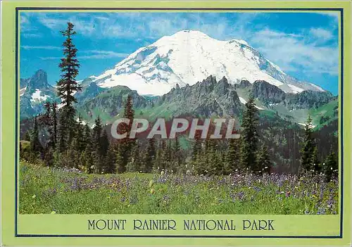 Cartes postales moderne Mount Rainier National ParK Washington