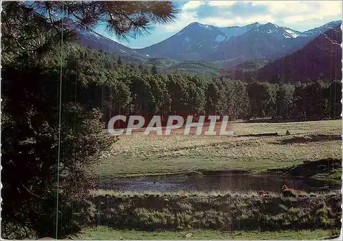 Cartes postales moderne Flagstaff Arizona a San Francisco Peaks