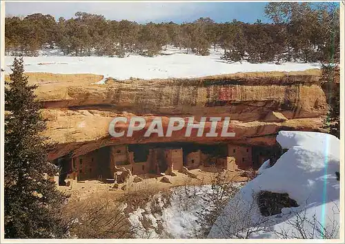 Cartes postales moderne Spruce tree House Mesa Verde National Park Colorado