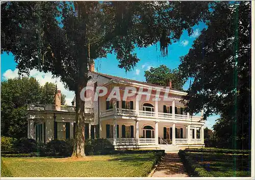 Cartes postales moderne Rosedown Plantation St Francisville Louisiana