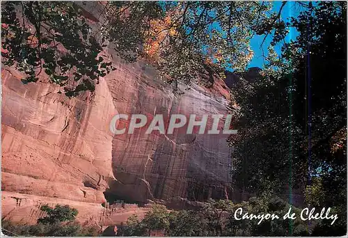 Cartes postales moderne Canyon de Chelly National Monument White House Ruins