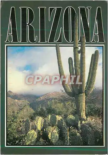 Moderne Karte Saguaro Cactus Arizona Desert