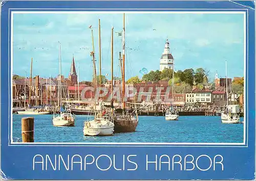 Cartes postales moderne Annapolis Harbour Maryland